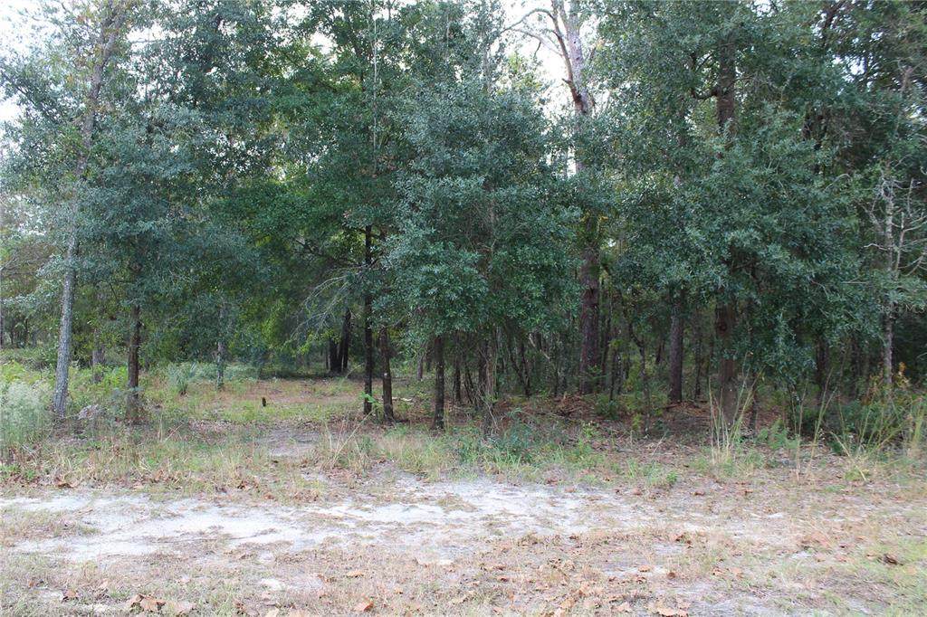 00 42ND Street - Photo 1