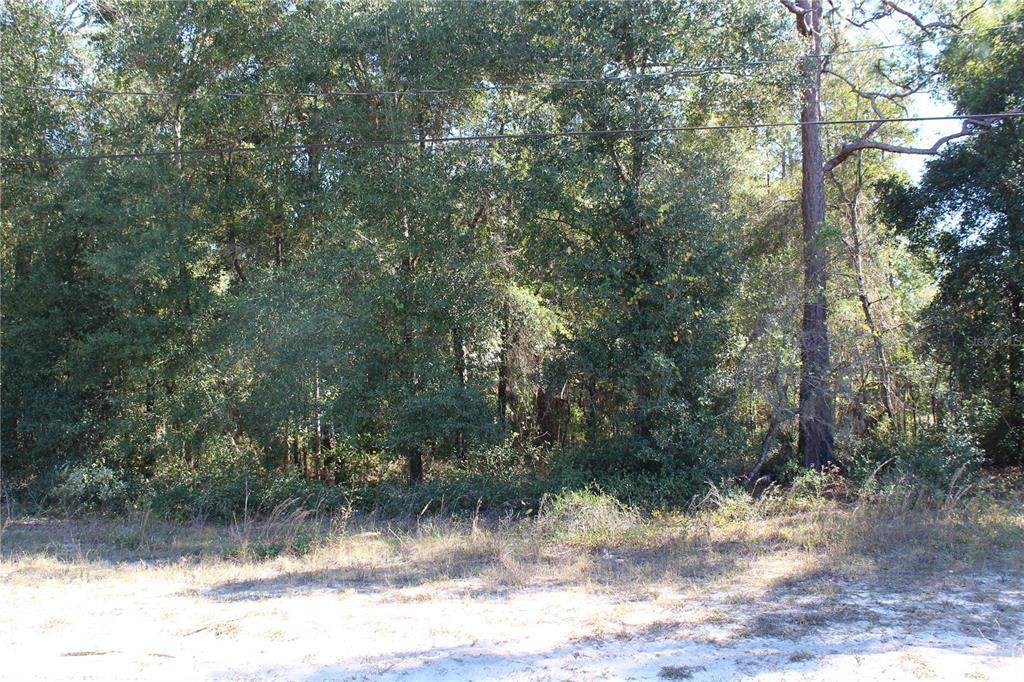 5584 County Road 352 - Photo 1