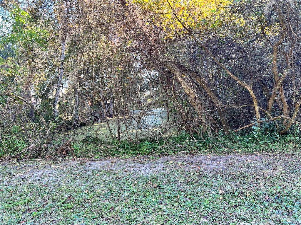 160TH Street - Photo 1