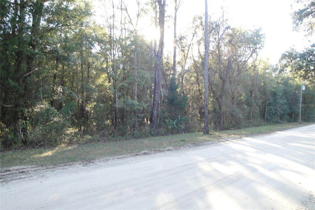 00000 86TH Lane - Photo 1