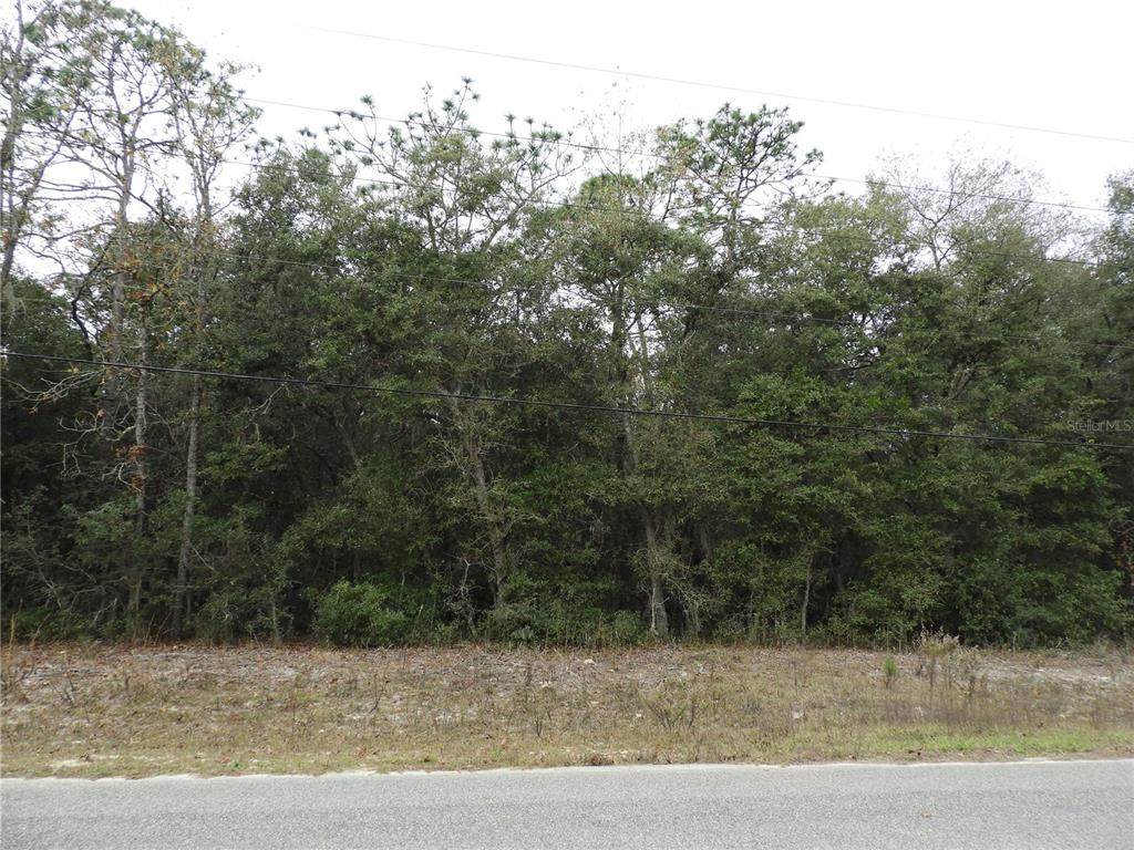 0 Azalea Avenue - Photo 1