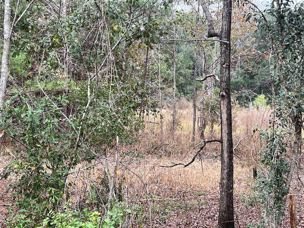 Lot 33 Holden Park Road - Photo 1