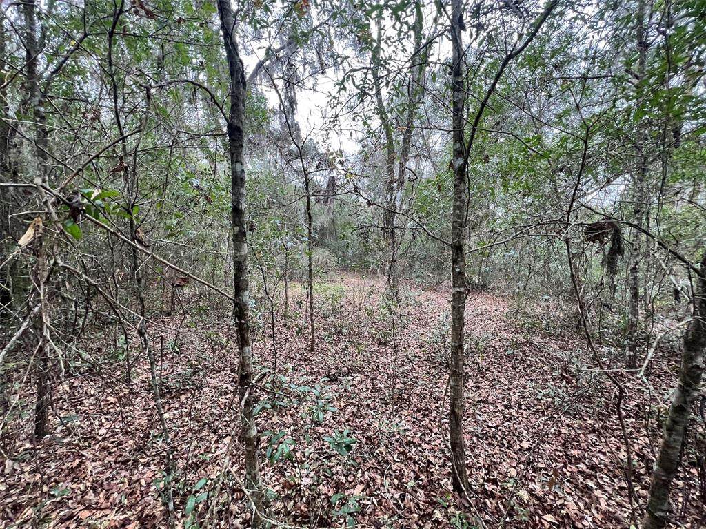Lot 20 101ST Avenue - Photo 1