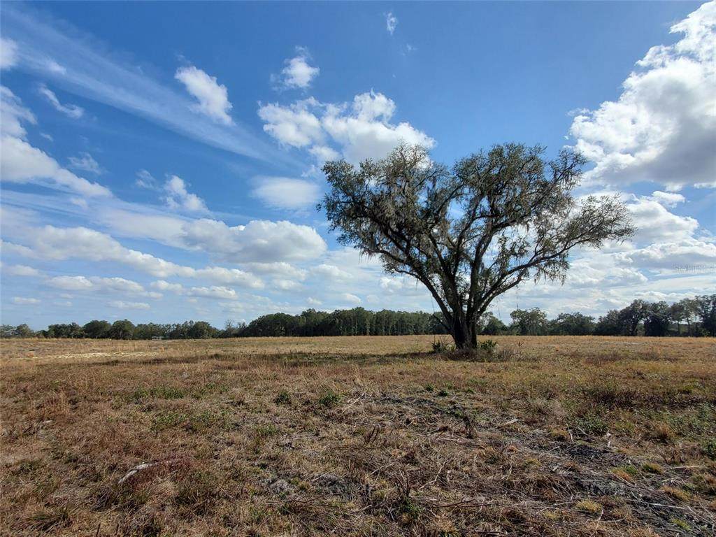 TBD Sr 47 - Photo 1