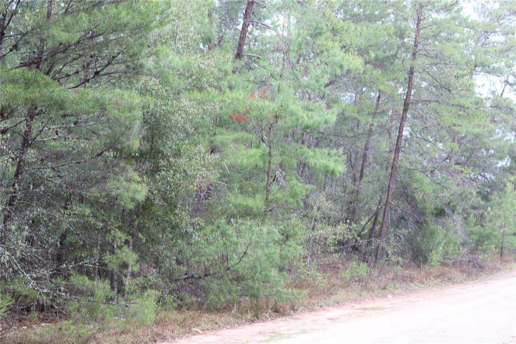 110 Escambia Drive - Photo 1
