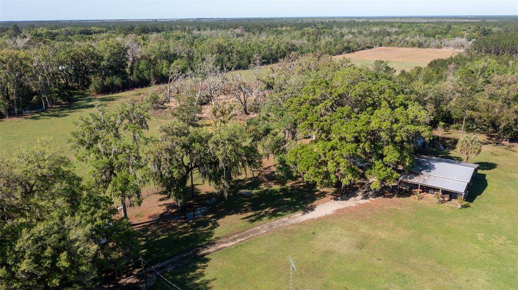 TBD County Road 1469 - Photo 1