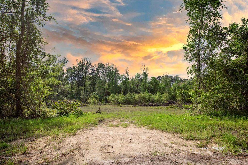 109TH Road - Photo 1