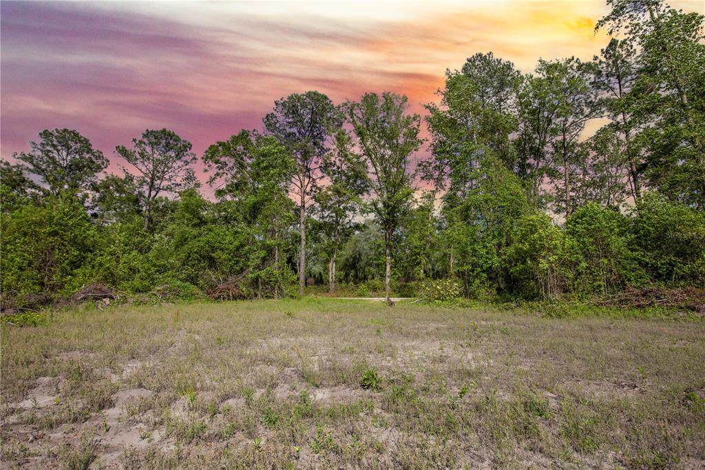 109TH Road - Photo 1