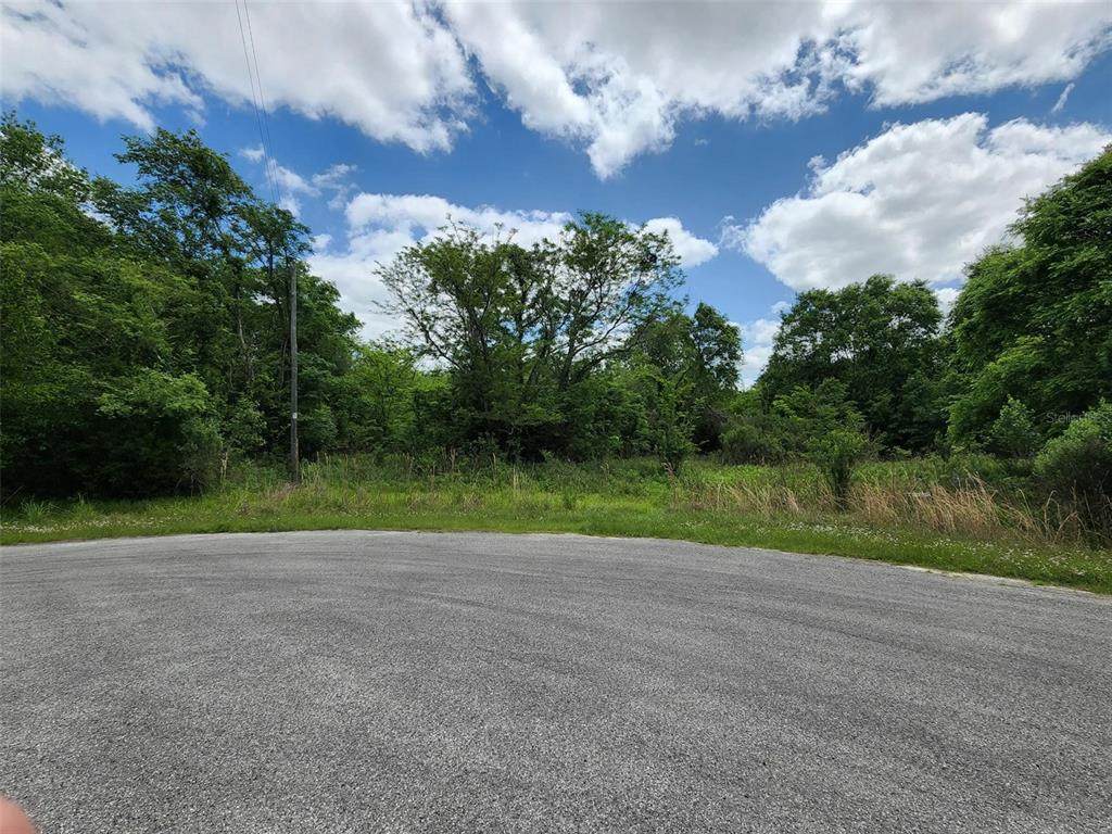 00 Sedgefield Farms Gln - Photo 1