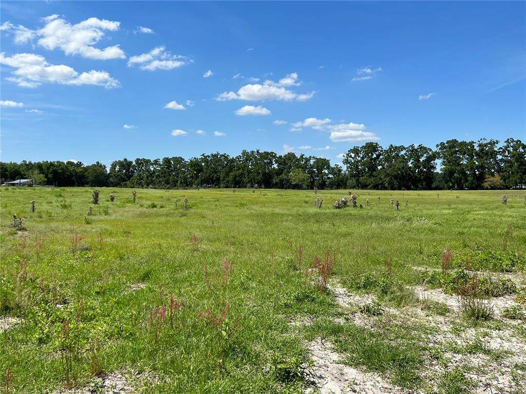 25TH Avenue - Photo 1