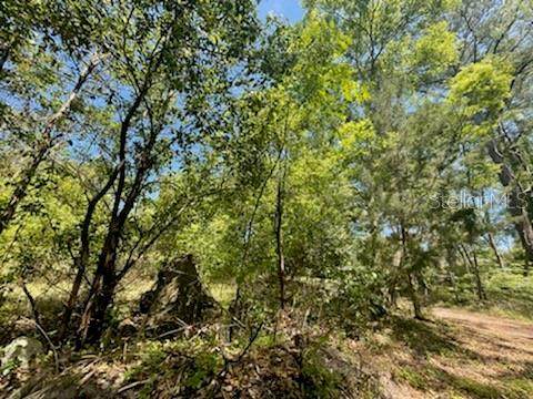 0 188TH AVE - Photo 1