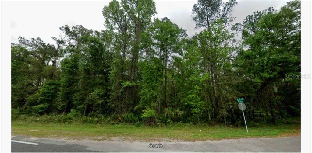County Road 234 - Photo 1