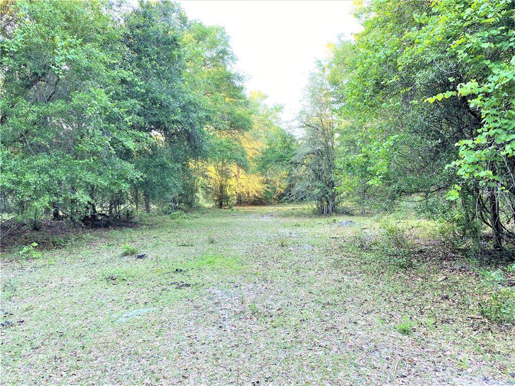 000 Roanoke Terrace - Photo 1