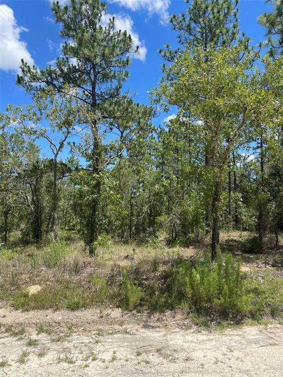 0000 89TH Street - Photo 1