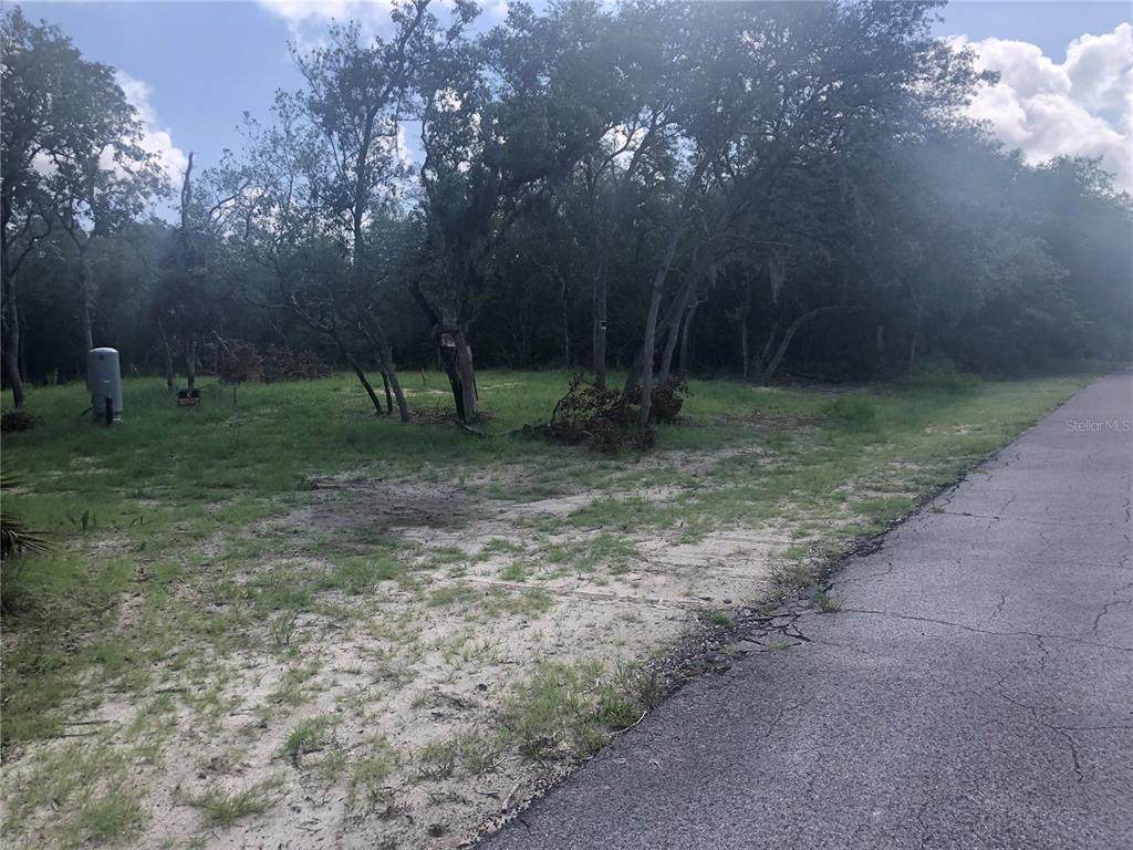 Lot 15 Riverview Road - Photo 1