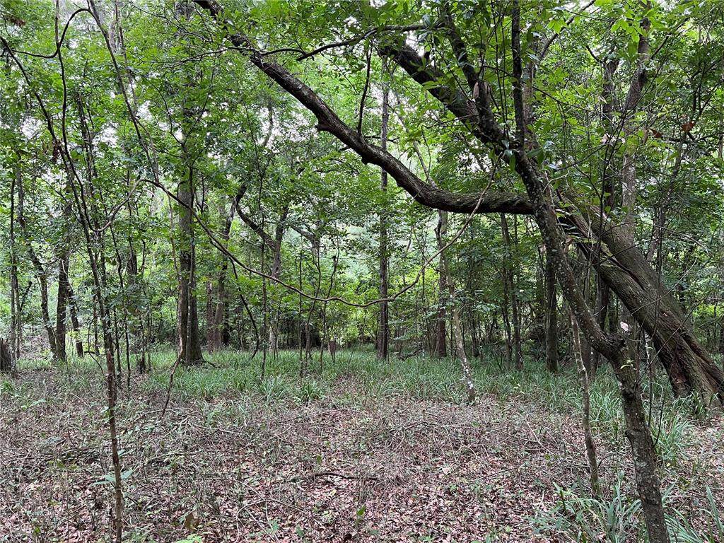 29406 169TH Drive - Photo 1