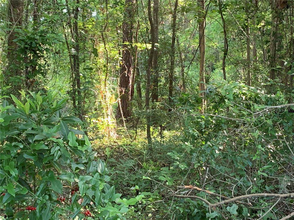 44TH Avenue - Photo 1