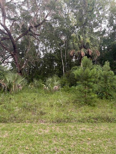 00 Us Hwy 441 - Photo 1