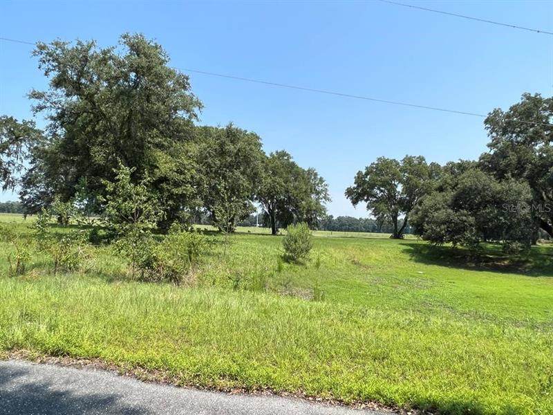 673 70TH Loop - Photo 1