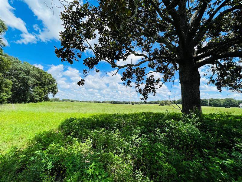 Lot 19 31ST Avenue - Photo 1