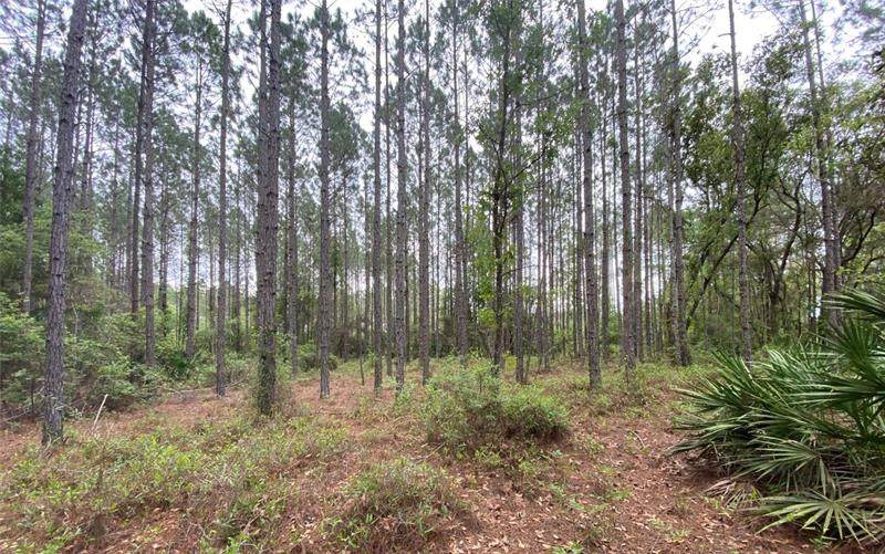 TBD 80TH Trail - Photo 1