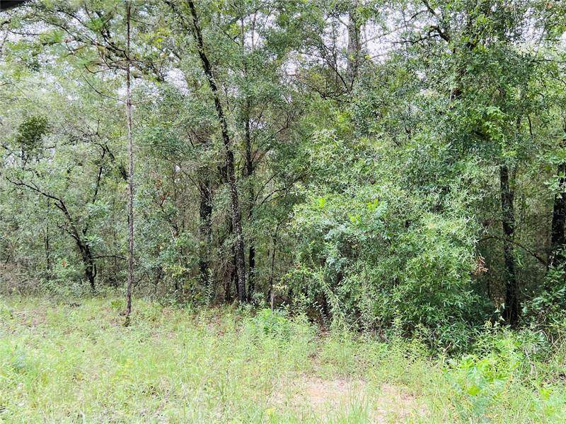 13 TER/NW 62 Place - Photo 1