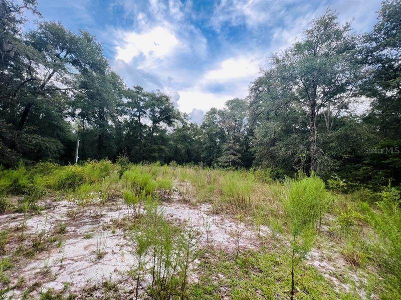 5840 55TH Street - Photo 1