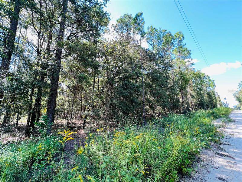 Lot 23 30TH Avenue - Photo 1