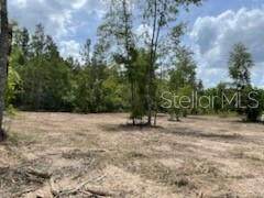 205 Bowleg Trail - Photo 1