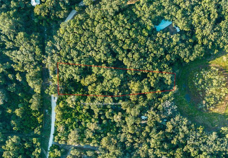 243 Little Orange Lake Drive - Photo 1