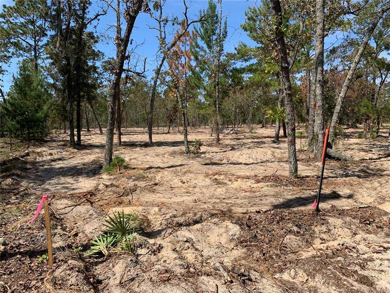 151 Honeysuckle Trail - Photo 1
