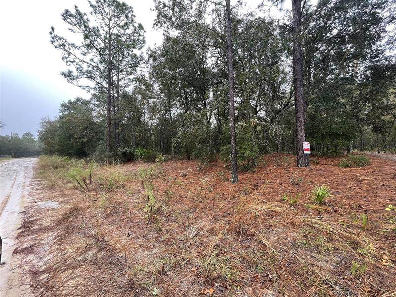LOT 259 85TH Street - Photo 1