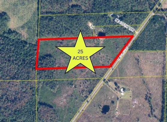 TBD County Road 237 - Photo 1