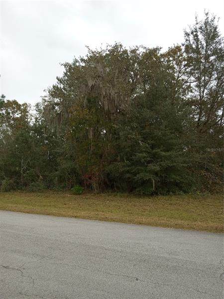 55TH COURT RD - Photo 1
