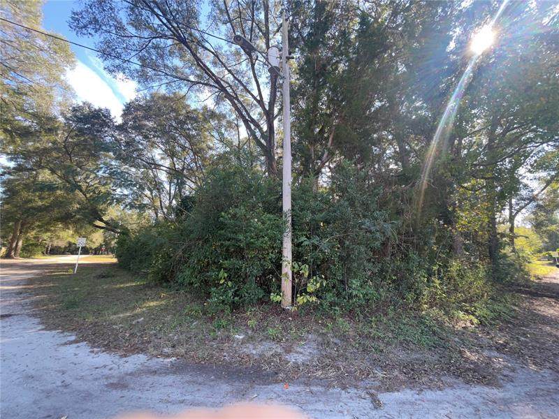 23777 193RD Avenue - Photo 1