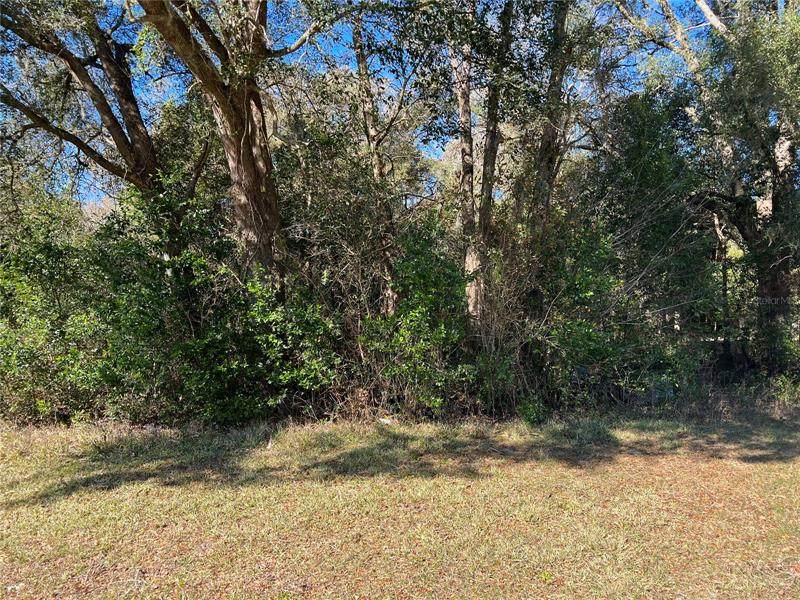 Waldo Road - Photo 1