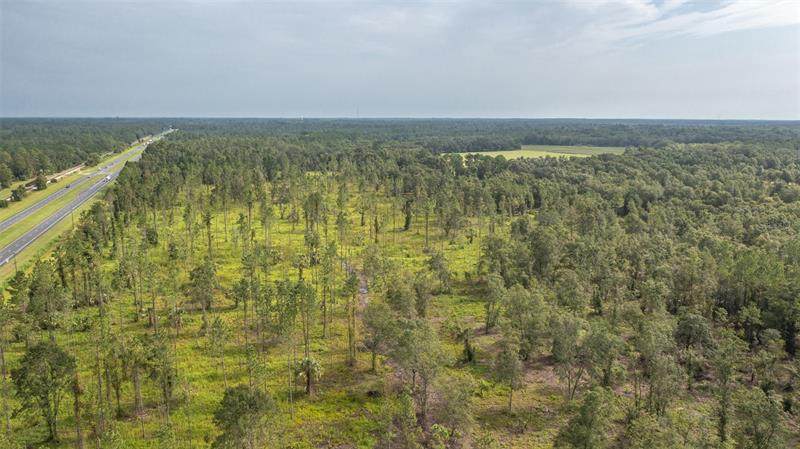 TBD LOT#4 Us Hwy 301 - Photo 1