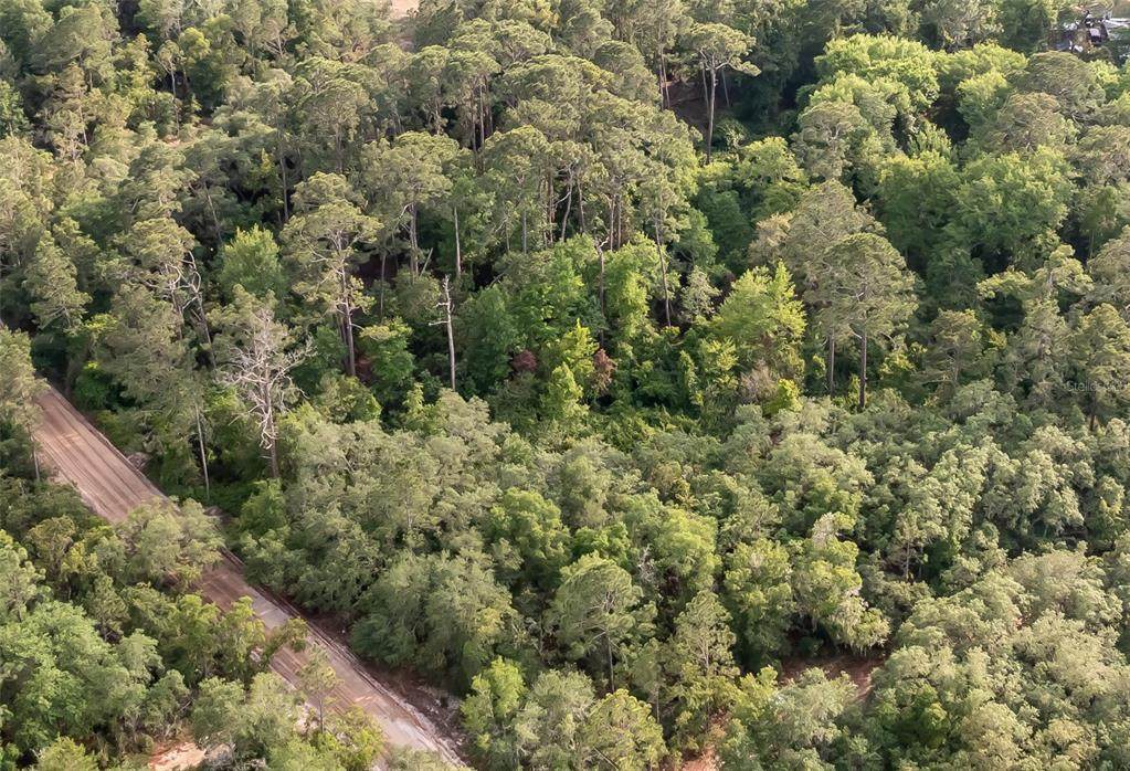 102 Cypress Street - Photo 1