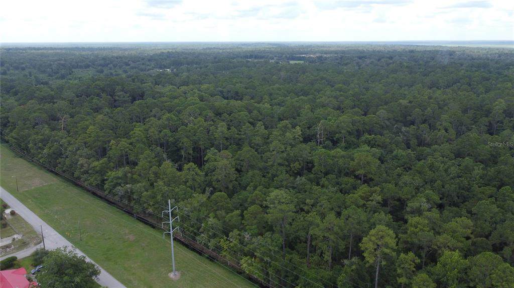  22ND Avenue - Photo 1