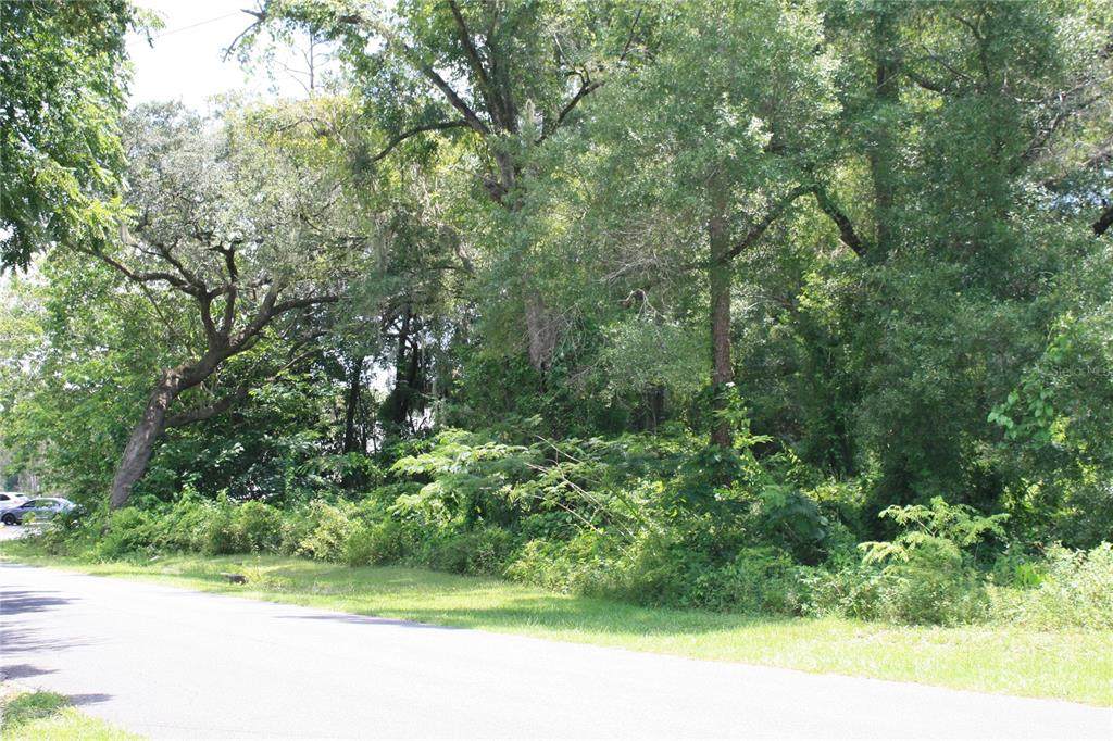 25049 3rd Avenue - Photo 1
