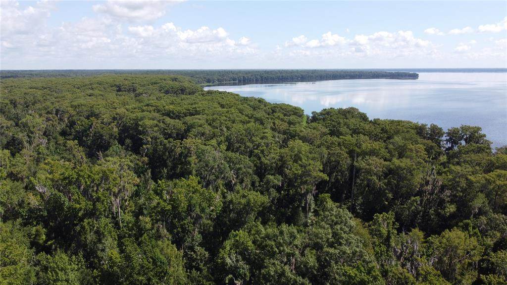  Hawthorne Road - Photo 1