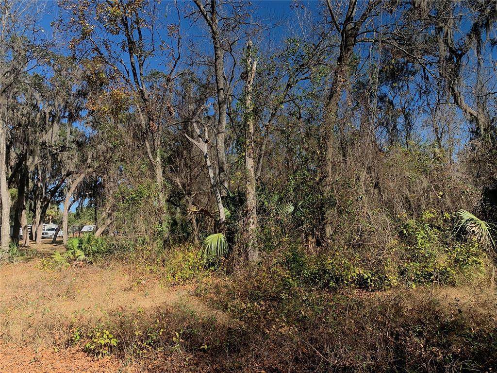 00 Faye Street - Photo 1