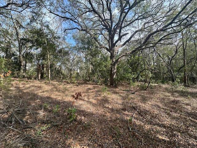 County Road 236 - Photo 1