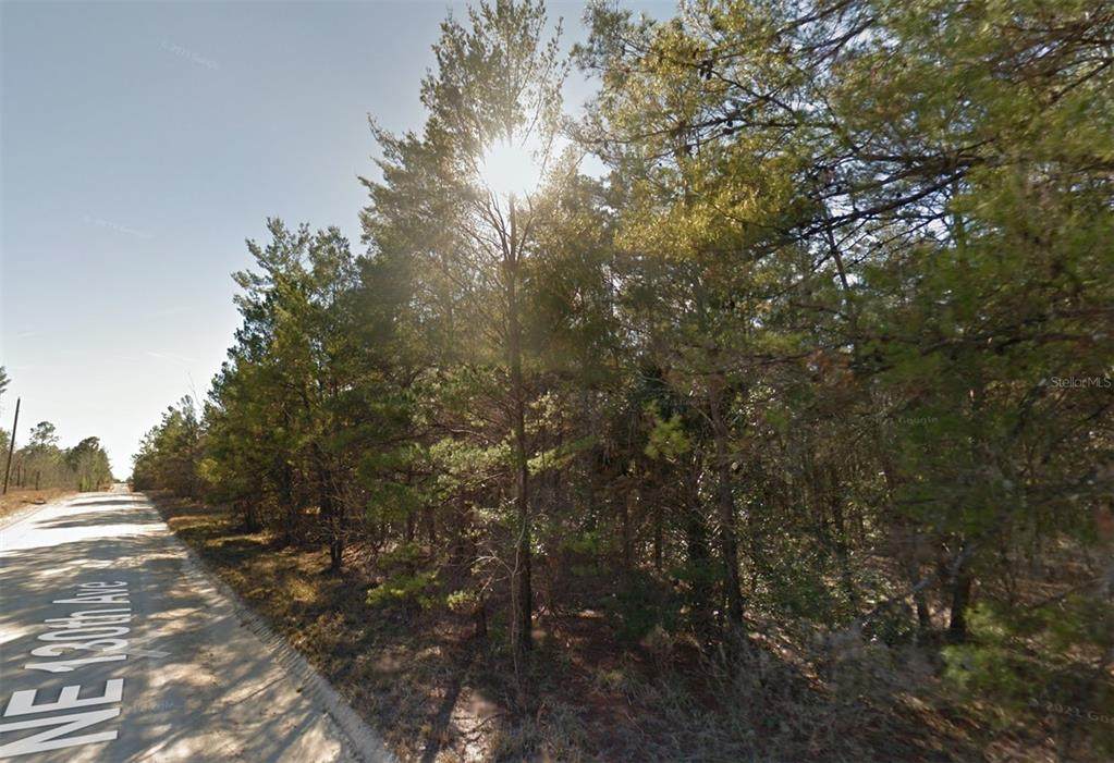 Lot 3 130TH Avenue - Photo 1