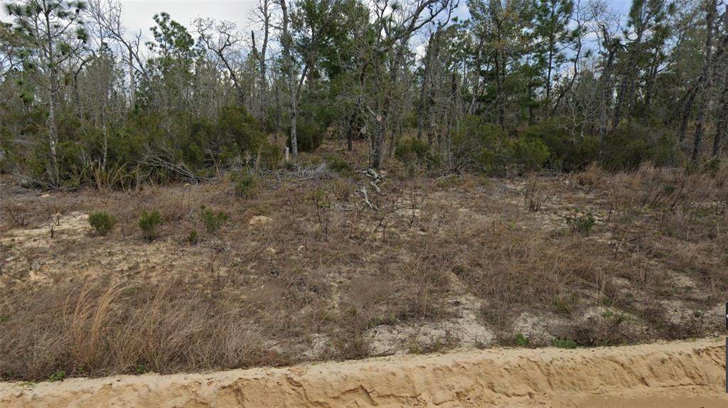Lot 33 Twin Lakes Blvd - Photo 1
