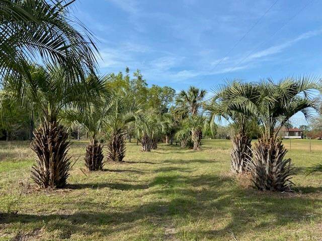 23206 102 ND Avenue - Photo 1