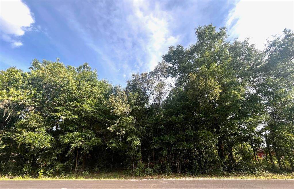 0000 56TH Street - Photo 1