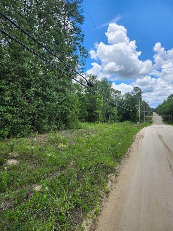 7649 Casa Grande - Photo 1