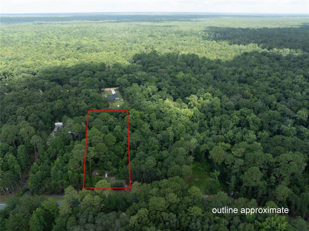5165 Chicory Circle - Photo 1