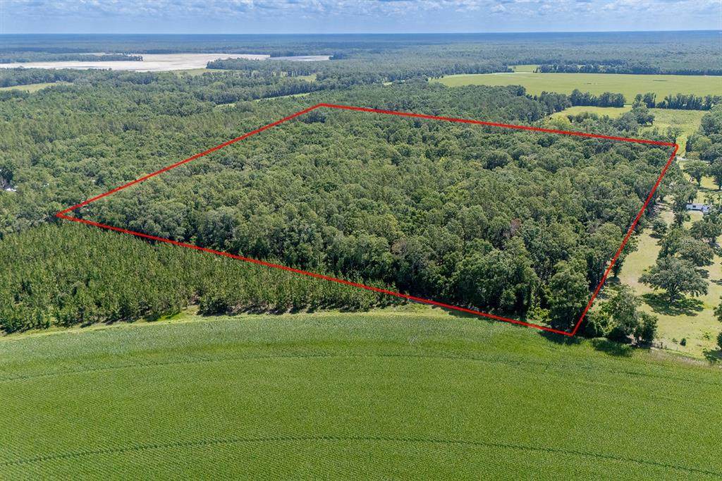 8289 Highway 349 - Photo 1